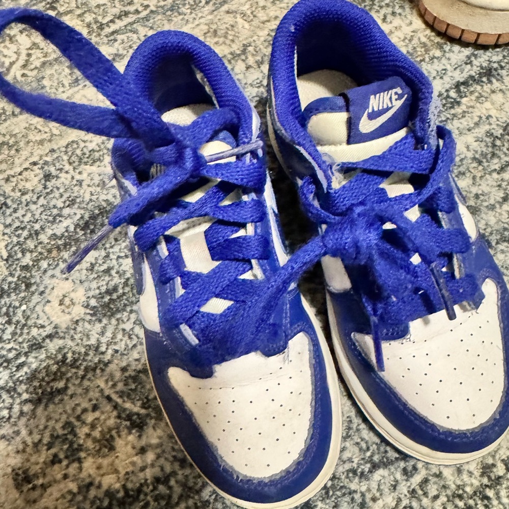 Nike Kids Dunks